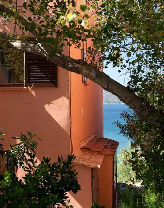 Апартаменты Casa Marine Du Soleil 60 Патримонио Экстерьер фото